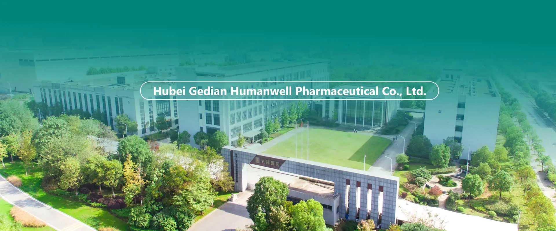 TSín APIs, idirmheánacha, Formulations Factory